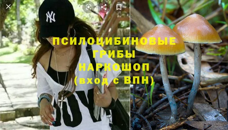 Галлюциногенные грибы MAGIC MUSHROOMS  Волчанск 